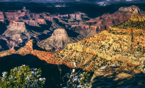 Title Alliance Ends 2020 With Highest Profits in Years, Looking to Grow Exponentially in 2021